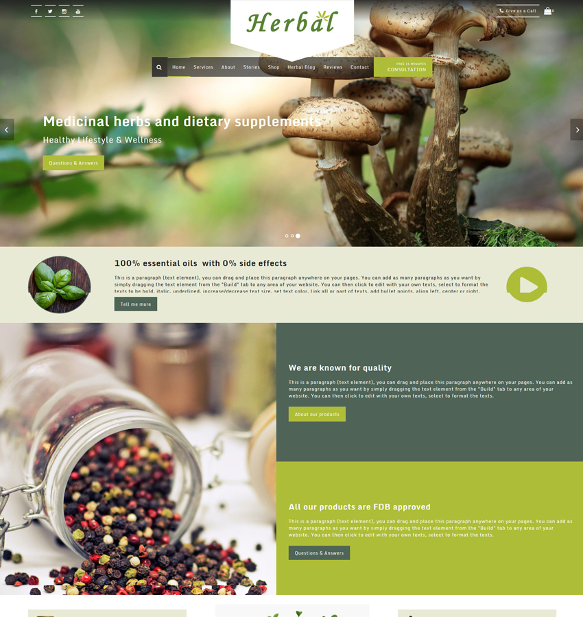 Herbal website theme, natural medicine and medicinal herbs template